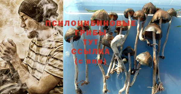 амф Алексин