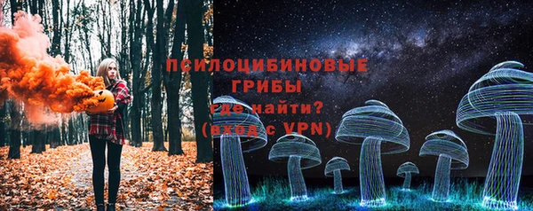 амф Алексин