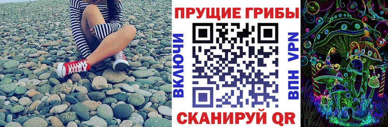 omg сайт Раменское Галлюциногенные грибы ЛСД